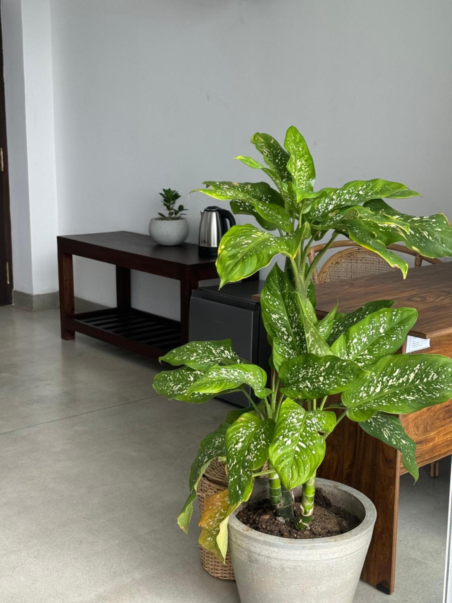 Sapiens Home - Weligama Bay Exterior foto