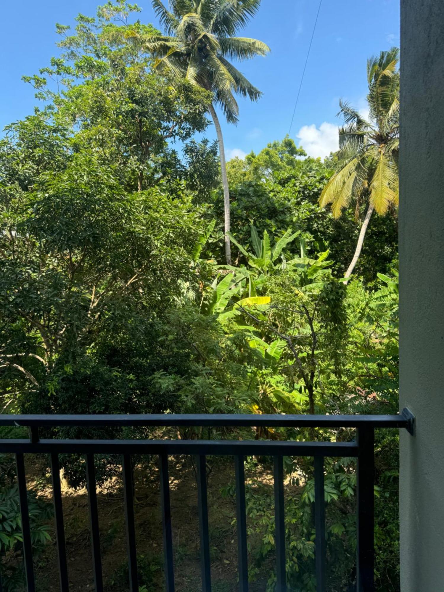 Sapiens Home - Weligama Bay Exterior foto